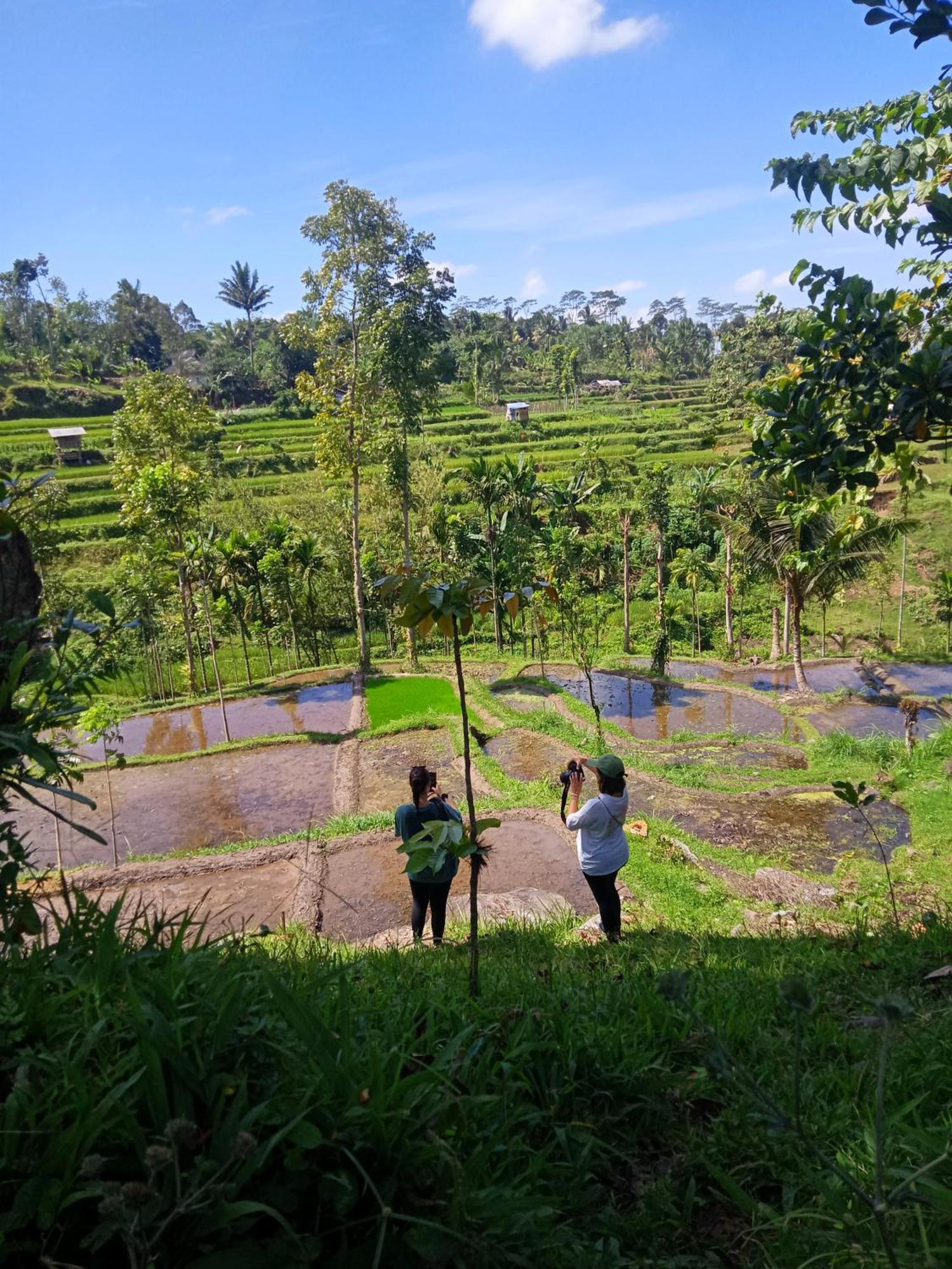 Tetebatu Sunrise Homestay Exterior foto